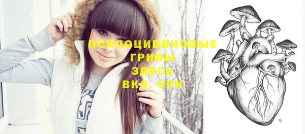 мдпв Карталы