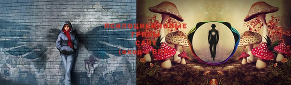 мдпв Карталы